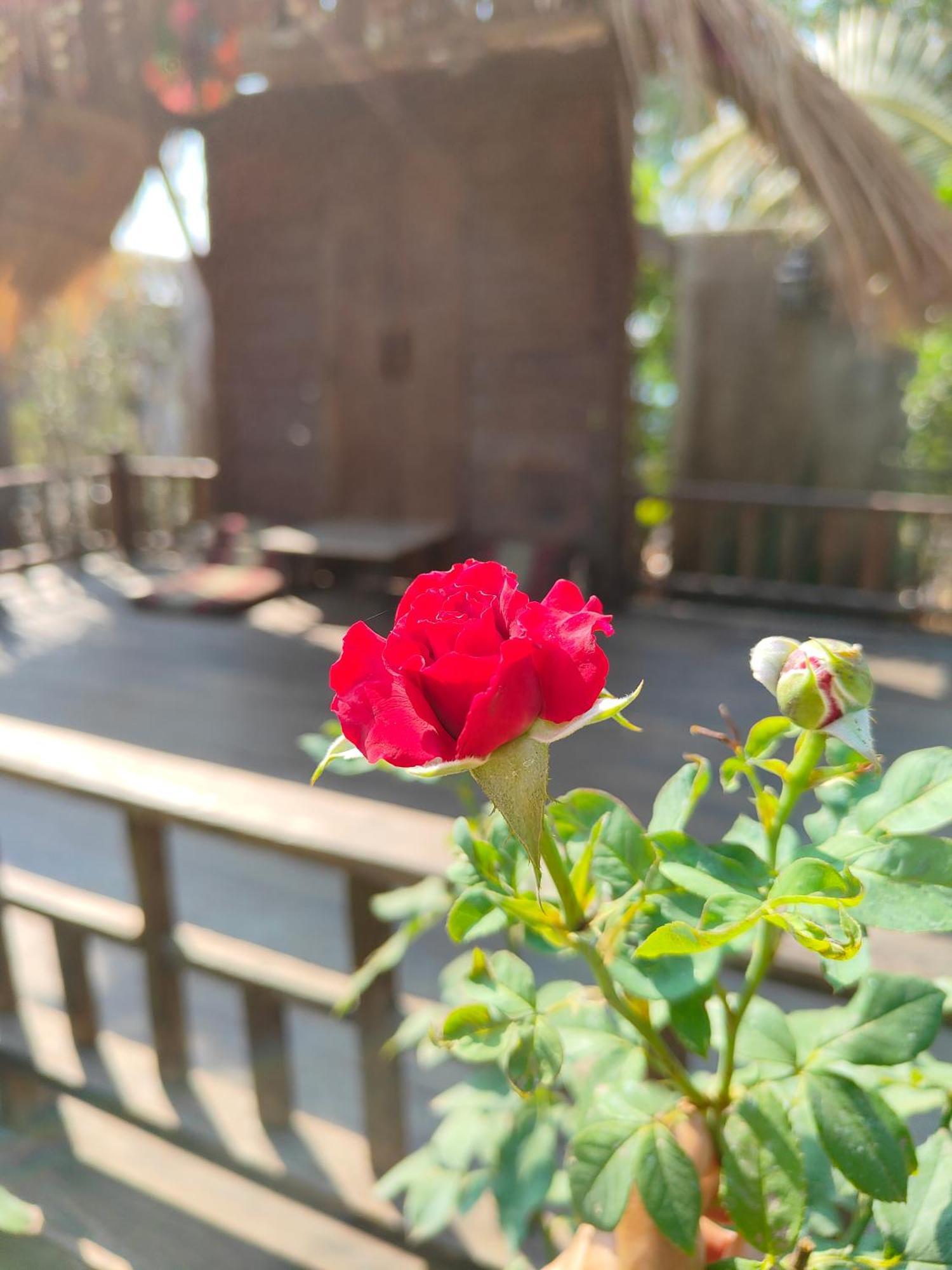 Smilingface Guesthouse Sukhothai Exterior photo