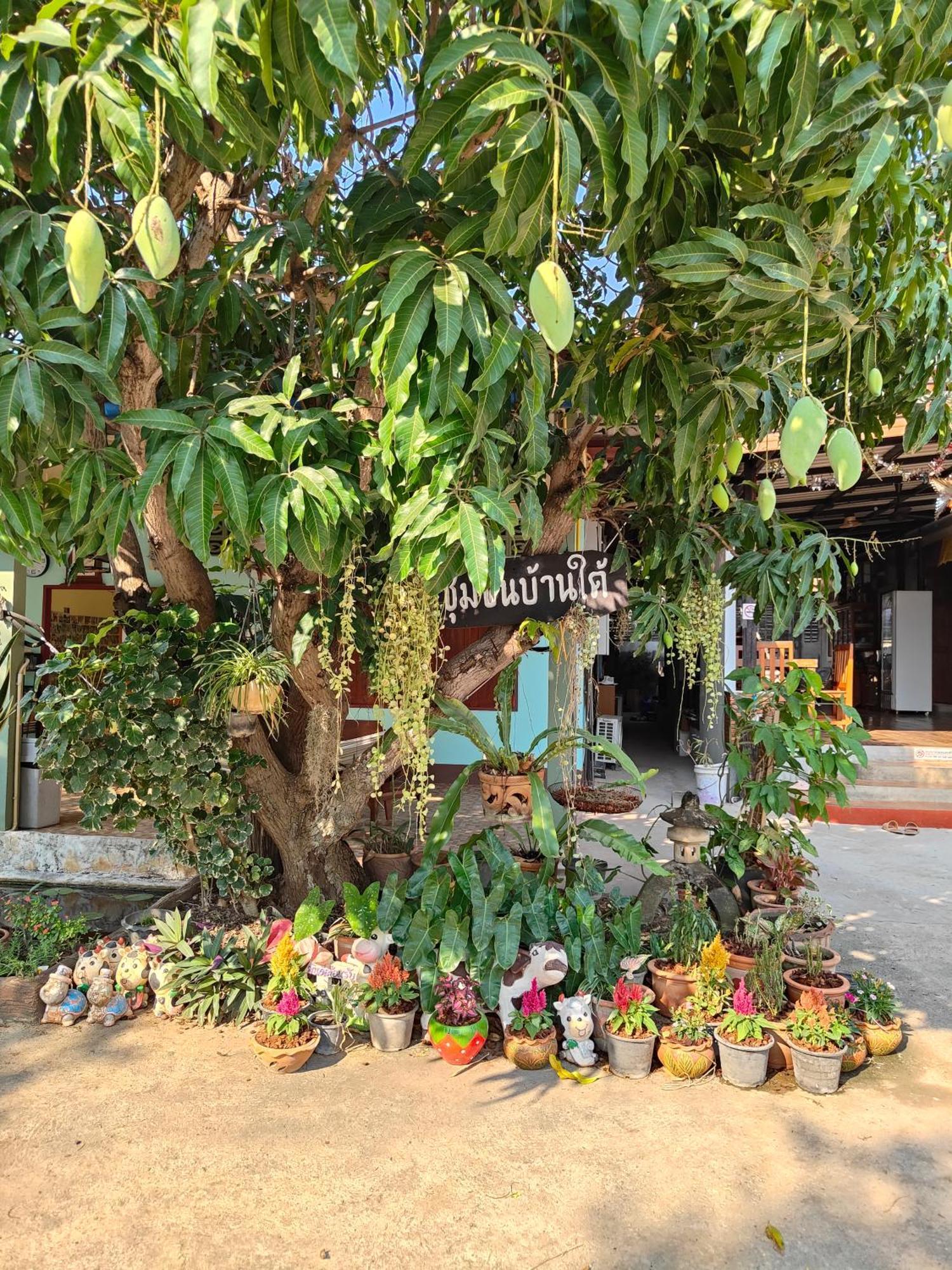 Smilingface Guesthouse Sukhothai Exterior photo